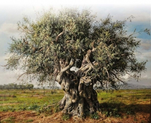 Pillole di Bibbia - Genesi 2: la creazione dell’uomo e della donna e la loro collocazione nel giardino di Eden