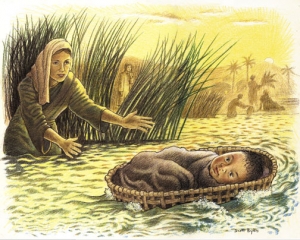Pillole di Bibbia -