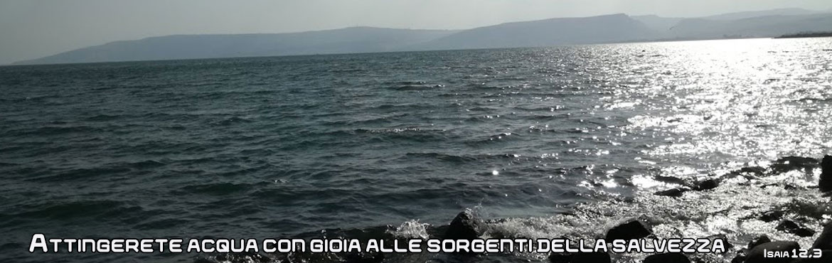 Acqua viva